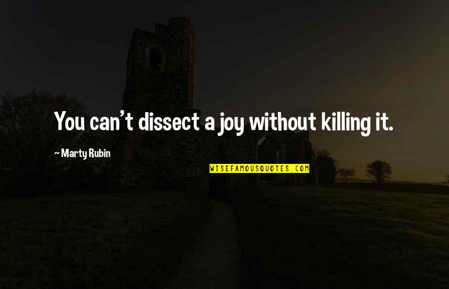 Dissect Quotes By Marty Rubin: You can't dissect a joy without killing it.