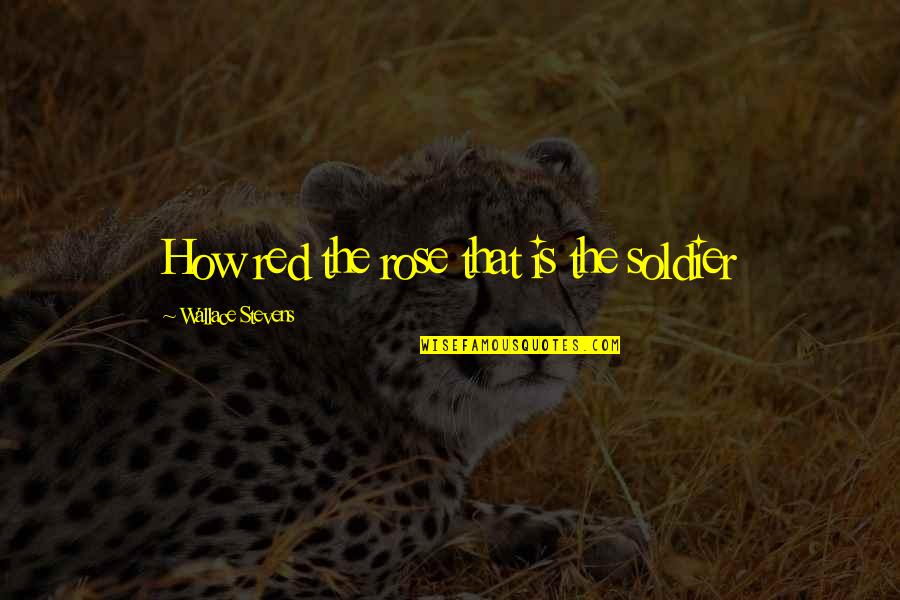Dissed Pooh Quotes By Wallace Stevens: How red the rose that is the soldier Dissed Pooh Quotes By Wallace Stevens: How red the rose that is the soldier