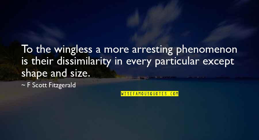 Dissimilarity In R Quotes By F Scott Fitzgerald: To the wingless a more arresting phenomenon is