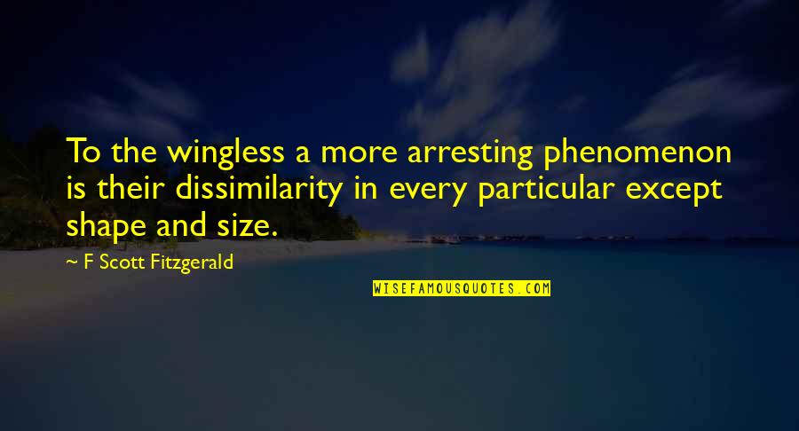 Dissimilarity Quotes By F Scott Fitzgerald: To the wingless a more arresting phenomenon is