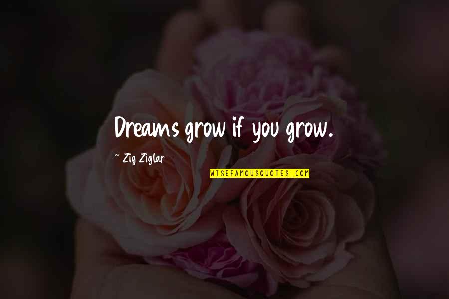 Dissimulating Quotes By Zig Ziglar: Dreams grow if you grow.