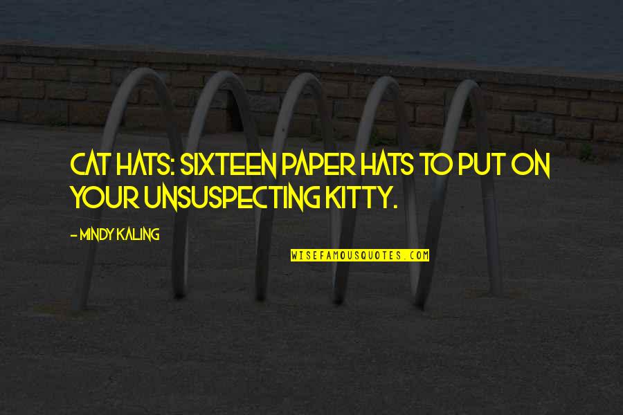 Dissolvable Swim Quotes By Mindy Kaling: Cat Hats: Sixteen Paper Hats to Put on