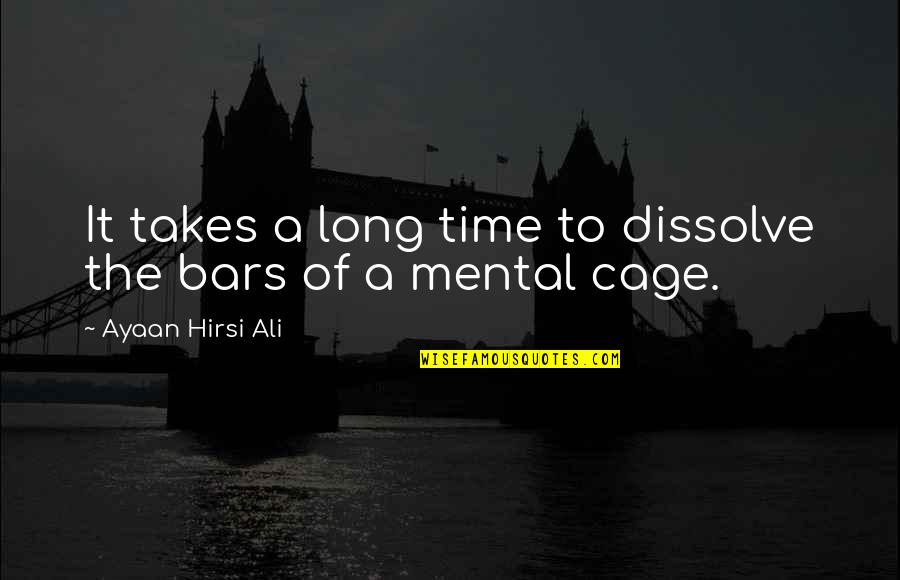 Dissolve Quotes By Ayaan Hirsi Ali: It takes a long time to dissolve the