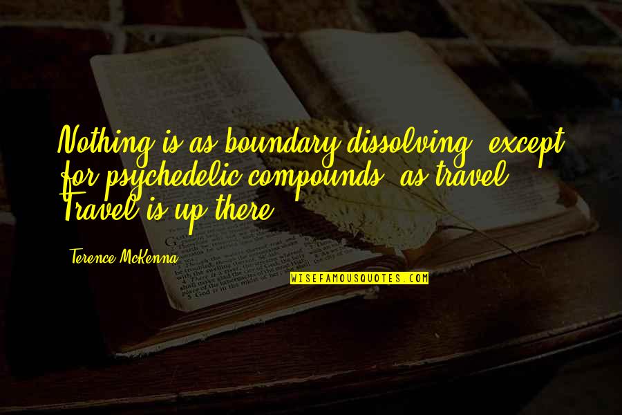 Dissolving Quotes By Terence McKenna: Nothing is as boundary dissolving, except for psychedelic