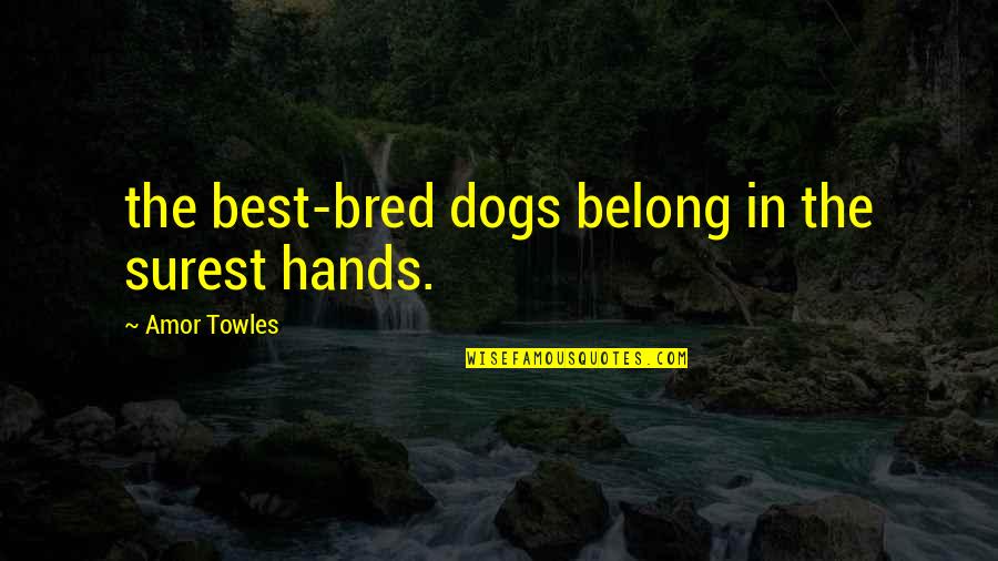 Dissuading Quotes By Amor Towles: the best-bred dogs belong in the surest hands.