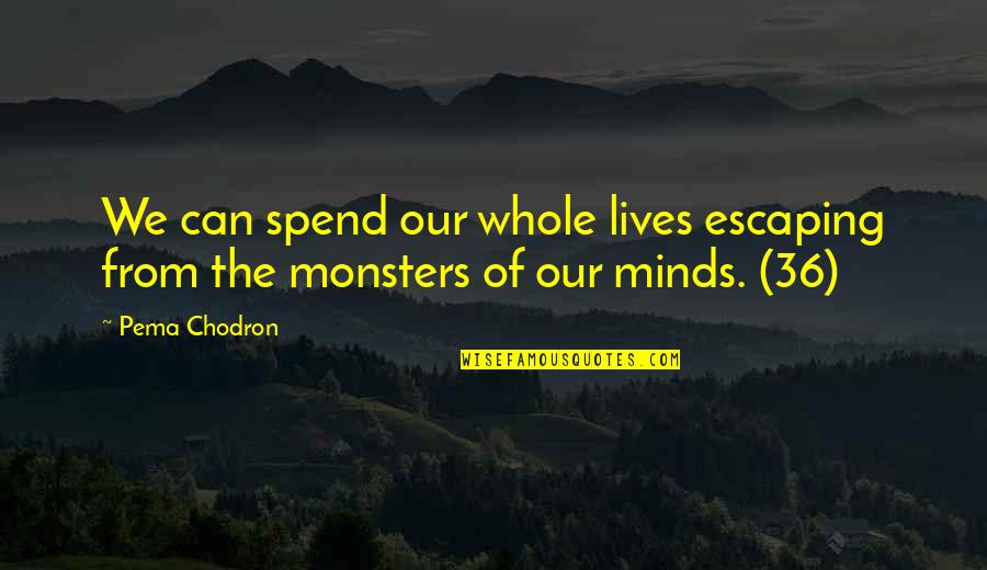 Distance Between Friendship Quotes By Pema Chodron: We can spend our whole lives escaping from