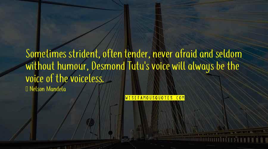 Distance Between Lovers Quotes By Nelson Mandela: Sometimes strident, often tender, never afraid and seldom Distance Between Lovers Quotes By Nelson Mandela: Sometimes strident, often tender, never afraid and seldom