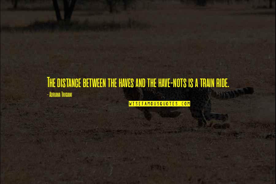 Distance Between Quotes By Adriana Trigiani: The distance between the haves and the have-nots