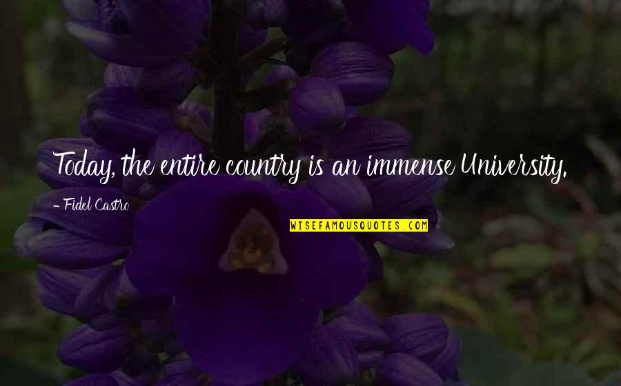 Distance Changing Things Quotes By Fidel Castro: Today, the entire country is an immense University.