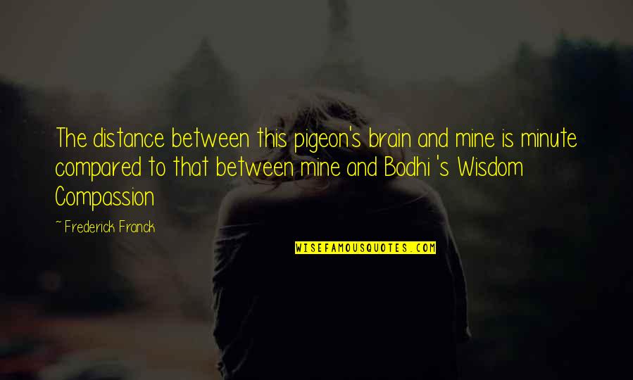 Distance Is Quotes By Frederick Franck: The distance between this pigeon's brain and mine