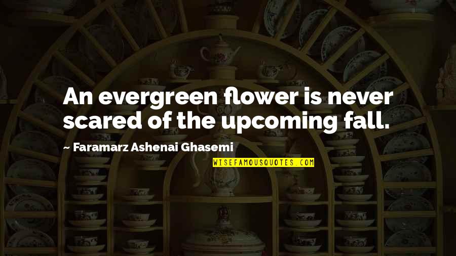 Distance Tearing Us Apart Quotes By Faramarz Ashenai Ghasemi: An evergreen flower is never scared of the Distance Tearing Us Apart Quotes By Faramarz Ashenai Ghasemi: An evergreen flower is never scared of the