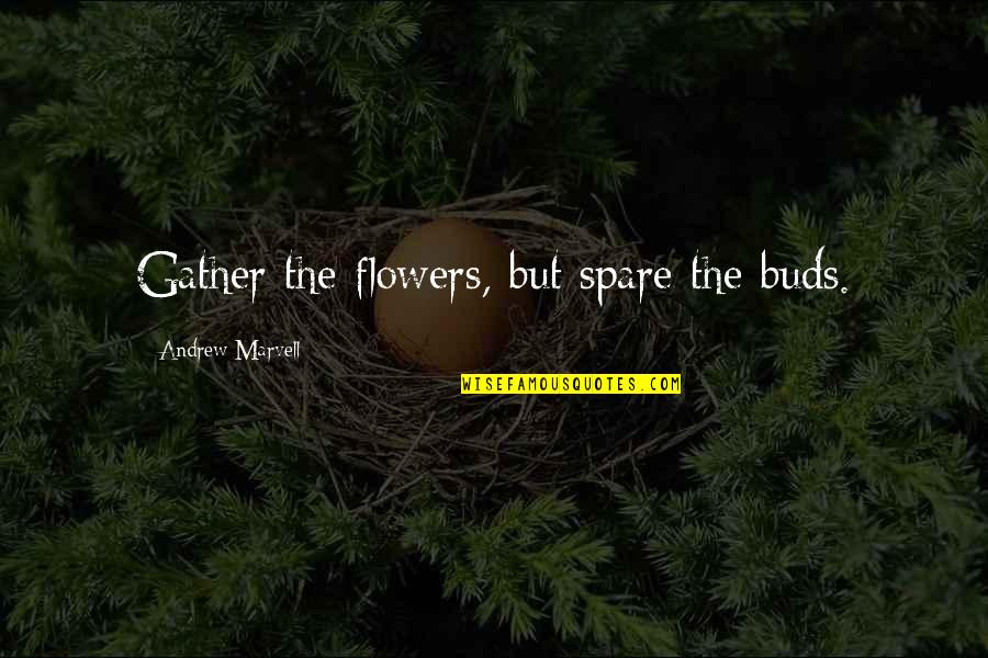 Distance With Friends Quotes By Andrew Marvell: Gather the flowers, but spare the buds. Distance With Friends Quotes By Andrew Marvell: Gather the flowers, but spare the buds.