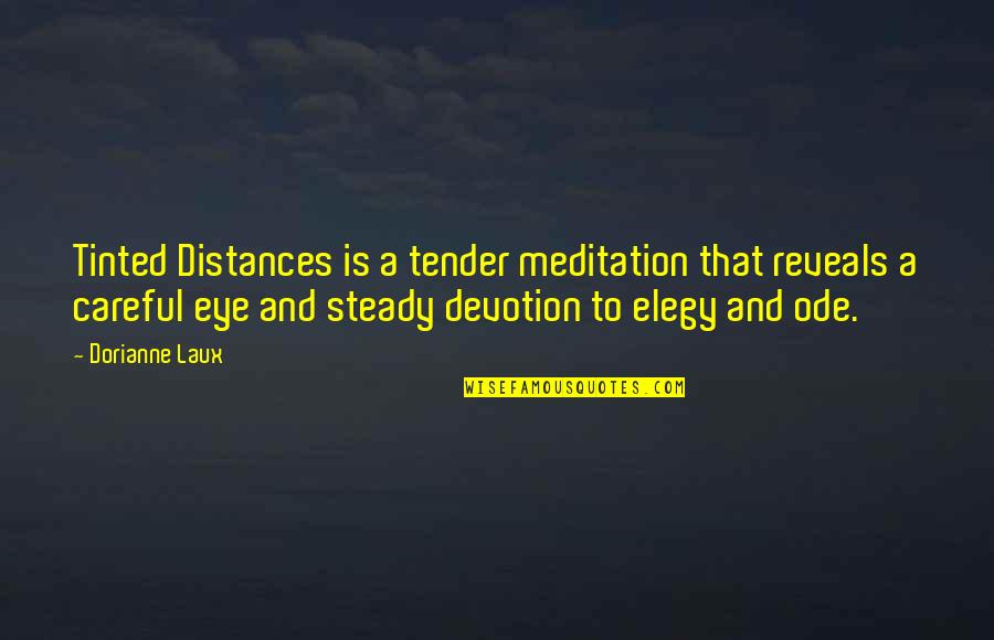 Distances From Quotes By Dorianne Laux: Tinted Distances is a tender meditation that reveals