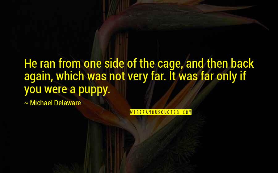 Distances From Quotes By Michael Delaware: He ran from one side of the cage,