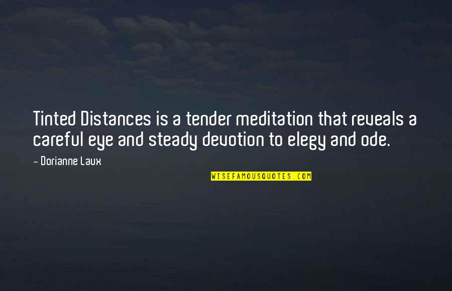 Distances Quotes By Dorianne Laux: Tinted Distances is a tender meditation that reveals