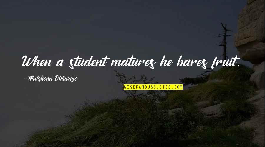 Distant Love Quotes By Matshona Dhliwayo: When a student matures he bares fruit.