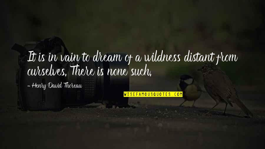 Distant Quotes By Henry David Thoreau: It is in vain to dream of a