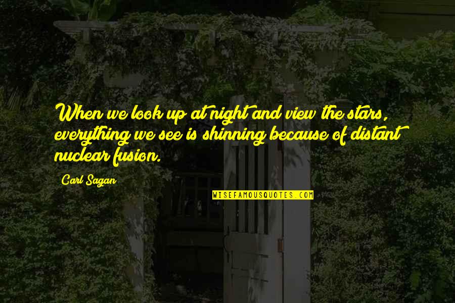 Distant Stars Quotes By Carl Sagan: When we look up at night and view