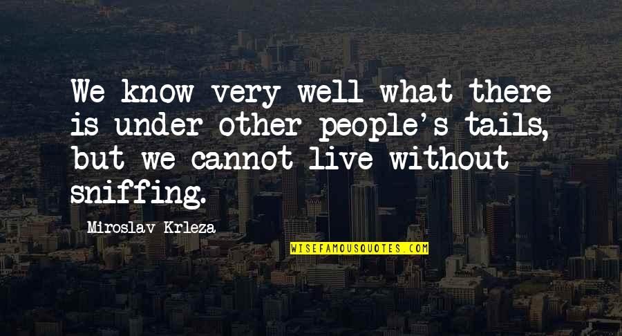 Disterdick Lane Quotes By Miroslav Krleza: We know very well what there is under