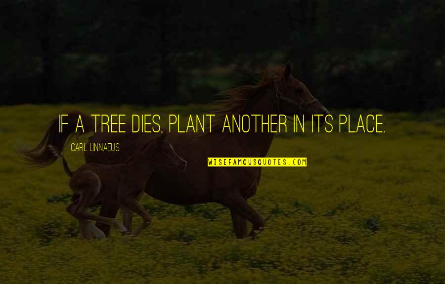 Distilleries Making Quotes By Carl Linnaeus: If a tree dies, plant another in its