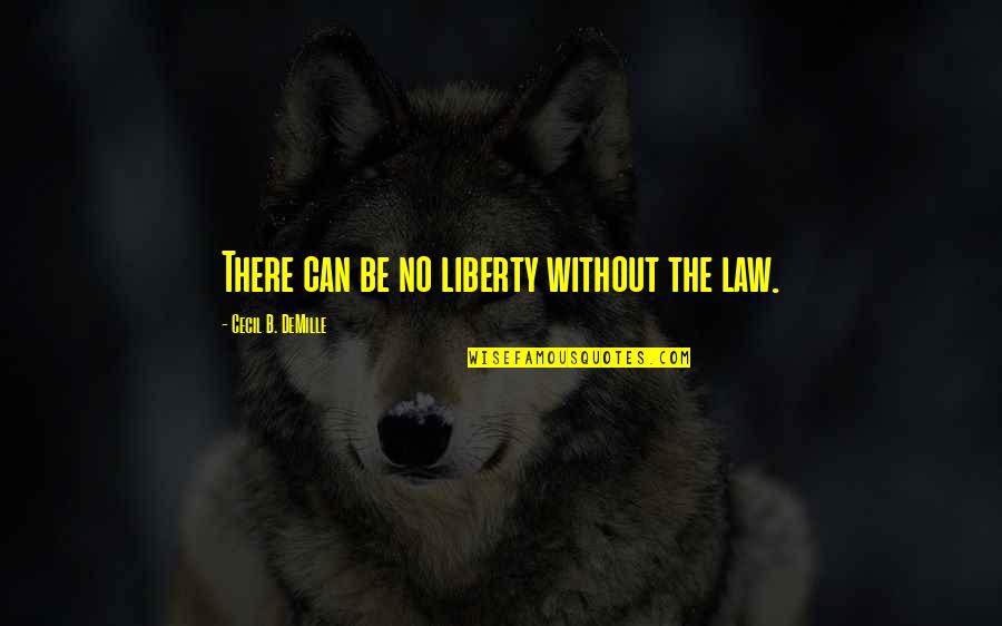 Distincion Definicion Quotes By Cecil B. DeMille: There can be no liberty without the law. Distincion Definicion Quotes By Cecil B. DeMille: There can be no liberty without the law.