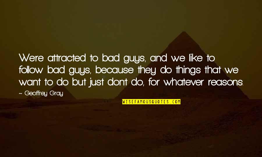 Distincion Definicion Quotes By Geoffrey Gray: We're attracted to bad guys, and we like Distincion Definicion Quotes By Geoffrey Gray: We're attracted to bad guys, and we like