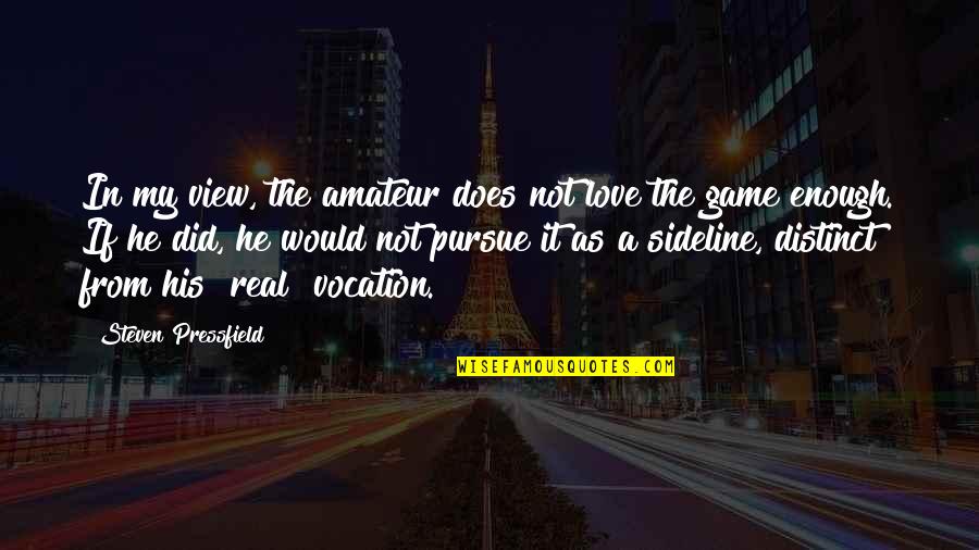 Distinct Love Quotes By Steven Pressfield: In my view, the amateur does not love Distinct Love Quotes By Steven Pressfield: In my view, the amateur does not love