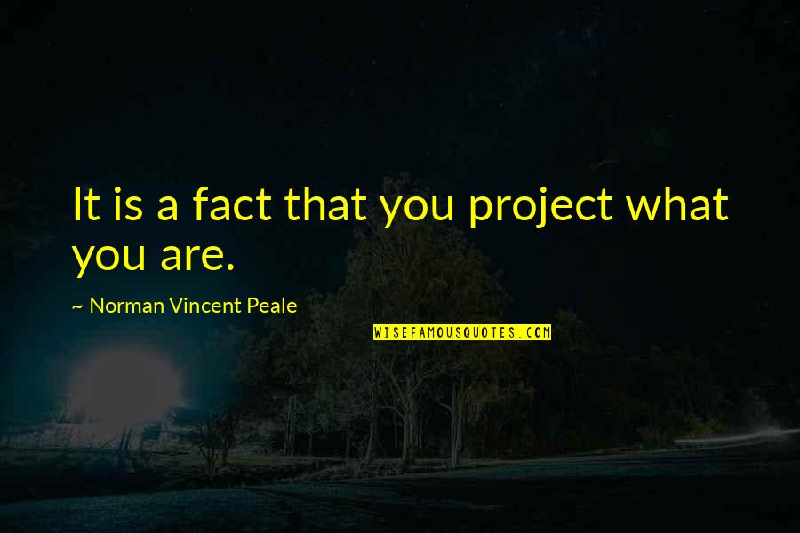 Distincte Quotes By Norman Vincent Peale: It is a fact that you project what