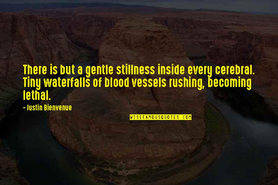 Distintos Destinos Quotes By Justin Bienvenue: There is but a gentle stillness inside every