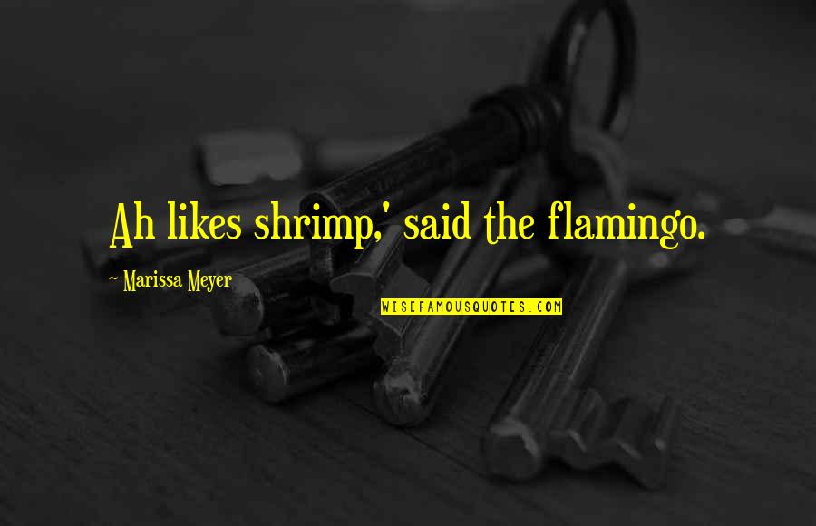 Distract Yourself Quotes By Marissa Meyer: Ah likes shrimp,' said the flamingo.