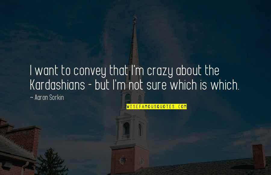 Distractie Bacau Quotes By Aaron Sorkin: I want to convey that I'm crazy about Distractie Bacau Quotes By Aaron Sorkin: I want to convey that I'm crazy about
