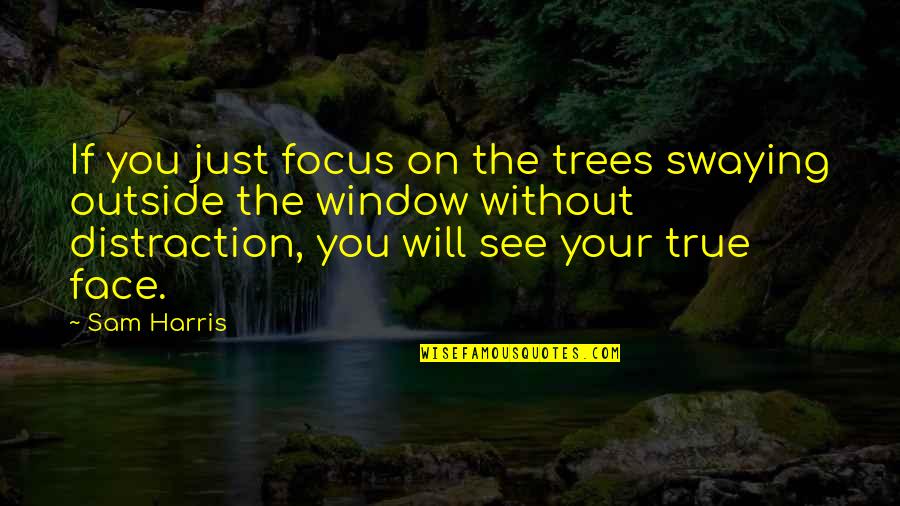 Distraction And Focus Quotes By Sam Harris: If you just focus on the trees swaying