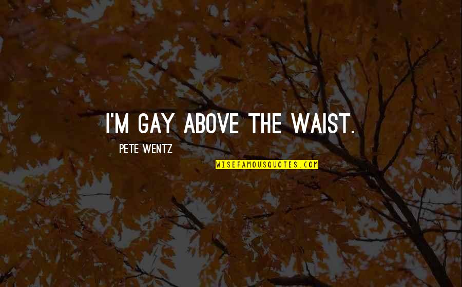Distraction And God Quotes By Pete Wentz: I'm gay above the waist.
