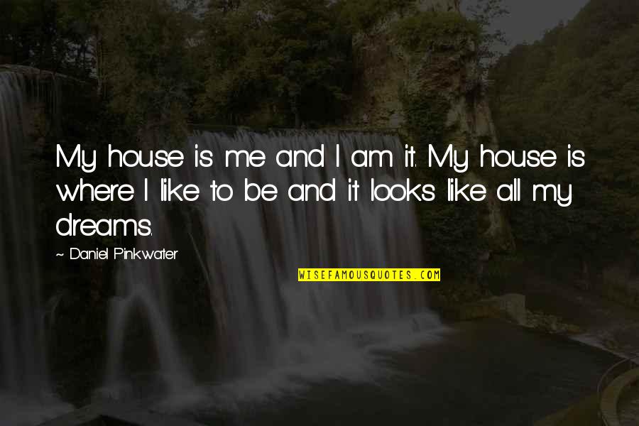 Distractions While Driving Quotes By Daniel Pinkwater: My house is me and I am it.