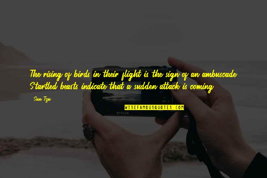 Distraerse Sinonimos Quotes By Sun Tzu: The rising of birds in their flight is Distraerse Sinonimos Quotes By Sun Tzu: The rising of birds in their flight is