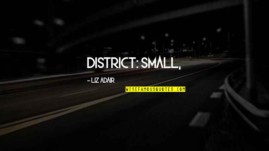 District 1 Quotes By Liz Adair: district: small,
