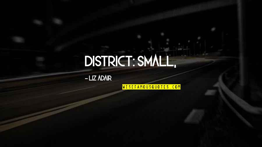 District 3 Quotes By Liz Adair: district: small,