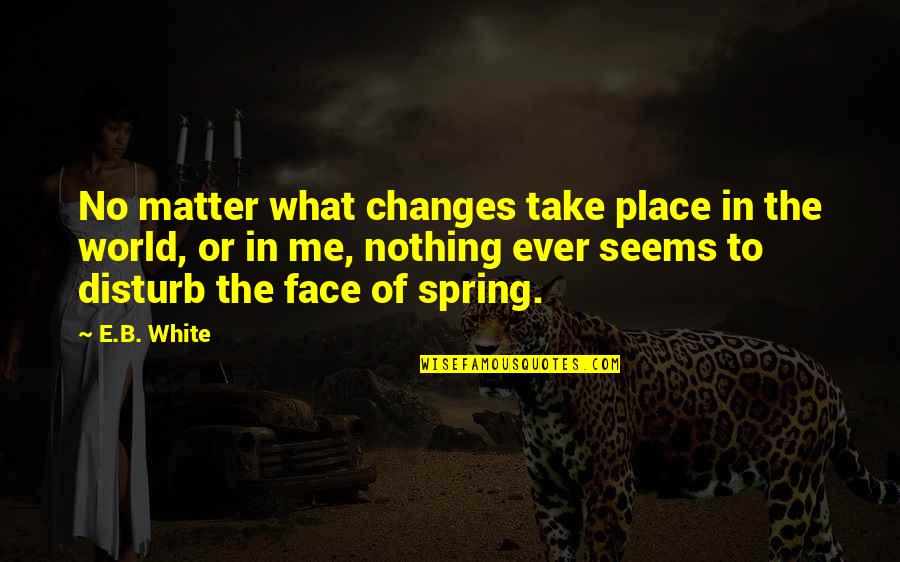 Disturb Me Quotes By E.B. White: No matter what changes take place in the
