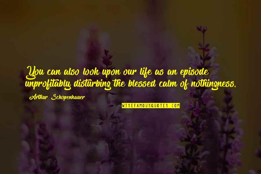 Disturbing You Quotes By Arthur Schopenhauer: You can also look upon our life as Disturbing You Quotes By Arthur Schopenhauer: You can also look upon our life as
