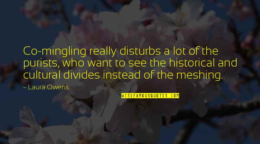 Disturbs Quotes By Laura Owens: Co-mingling really disturbs a lot of the purists,