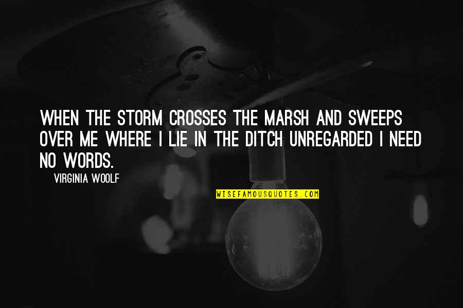 Ditch Me Quotes By Virginia Woolf: When the storm crosses the marsh and sweeps