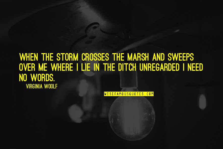 Ditch Quotes By Virginia Woolf: When the storm crosses the marsh and sweeps