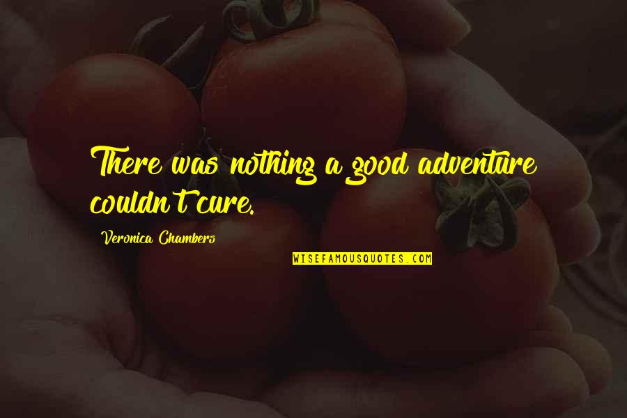 Ditirambos Quotes By Veronica Chambers: There was nothing a good adventure couldn't cure.