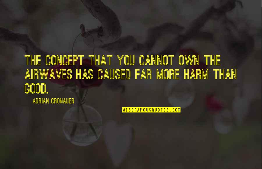 Diurno Definicion Quotes By Adrian Cronauer: The concept that you cannot own the airwaves