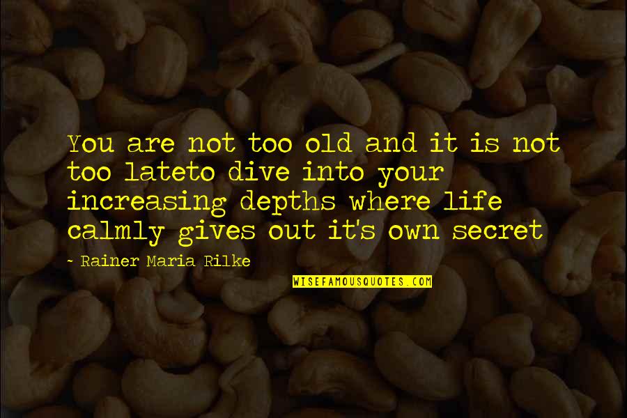 Dive Quotes By Rainer Maria Rilke: You are not too old and it is Dive Quotes By Rainer Maria Rilke: You are not too old and it is