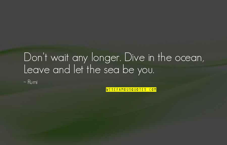 Dive Quotes By Rumi: Don't wait any longer. Dive in the ocean,
