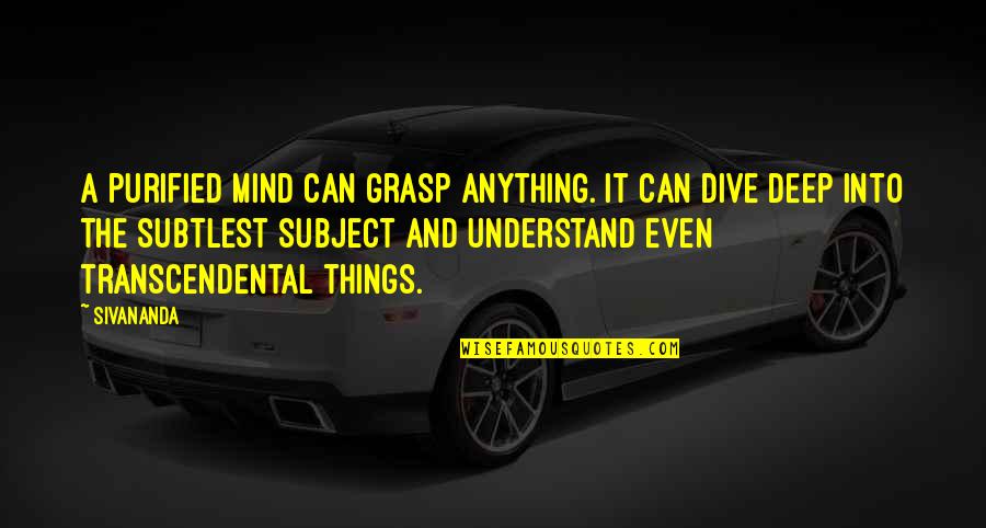 Dive Too Deep Quotes By Sivananda: A purified mind can grasp anything. It can Dive Too Deep Quotes By Sivananda: A purified mind can grasp anything. It can