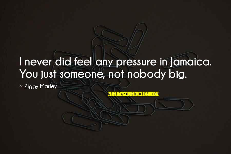 Diveen Henry Quotes By Ziggy Marley: I never did feel any pressure in Jamaica.