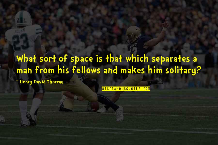 Divelbiss Corporation Quotes By Henry David Thoreau: What sort of space is that which separates