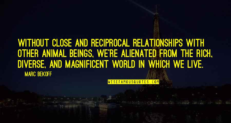 Diverse Inspirational Quotes By Marc Bekoff: Without close and reciprocal relationships with other animal